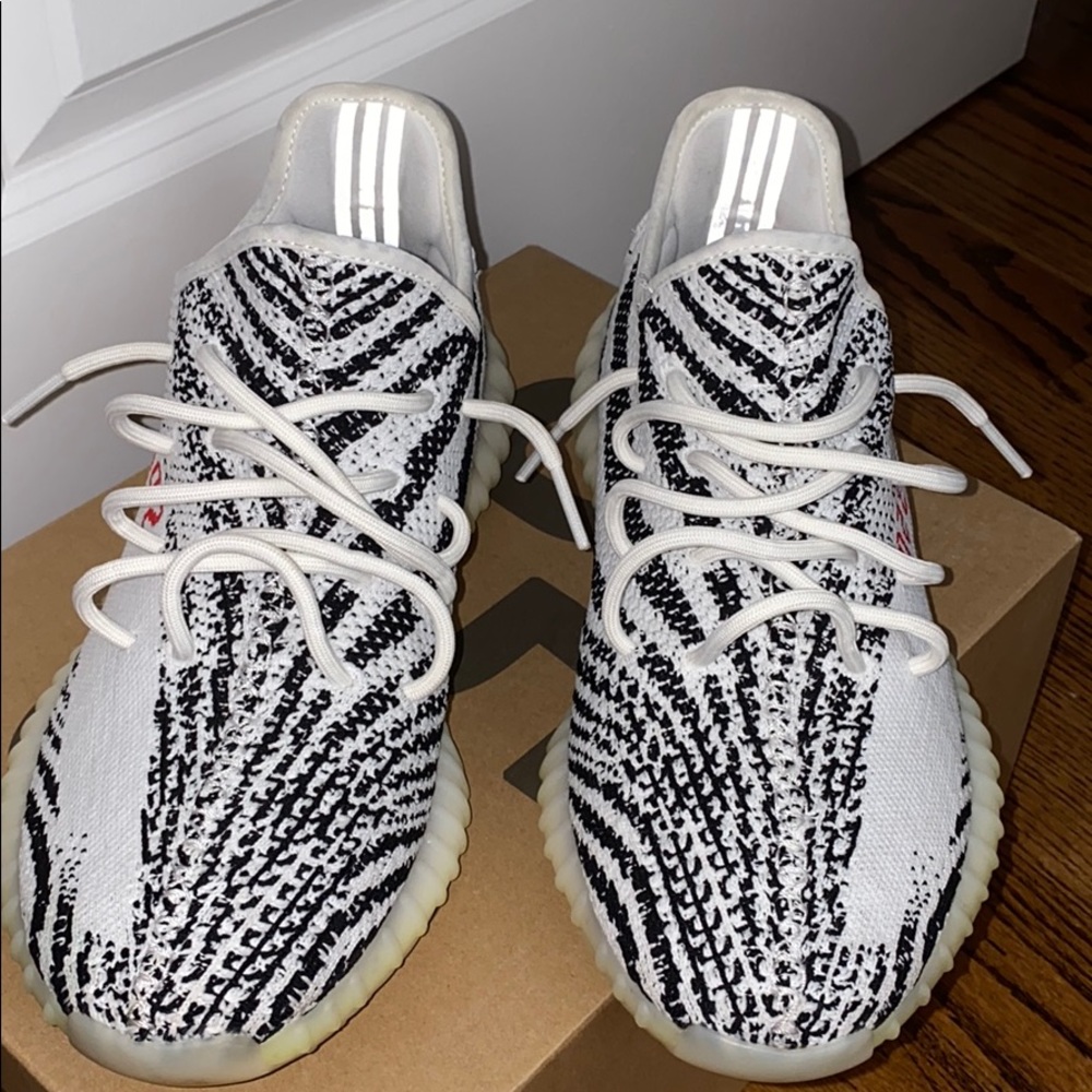 Zebra Yeezy